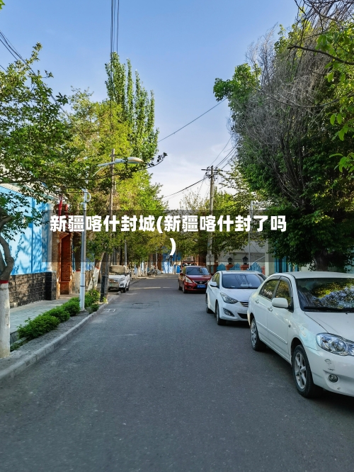 新疆喀什封城(新疆喀什封了吗)-第3张图片