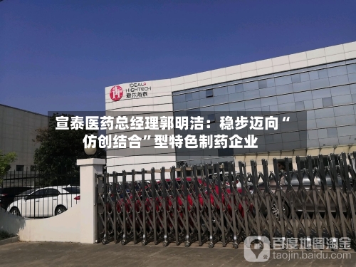 宣泰医药总经理郭明洁：稳步迈向“仿创结合”型特色制药企业