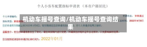 机动车摇号查询/机动车摇号查询结果