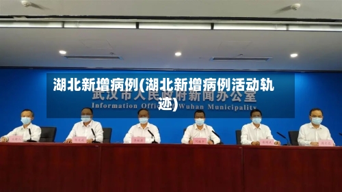 湖北新增病例(湖北新增病例活动轨迹)