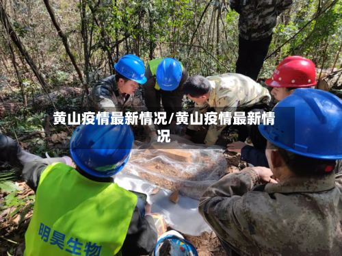 黄山疫情最新情况/黄山疫情最新情况-第3张图片