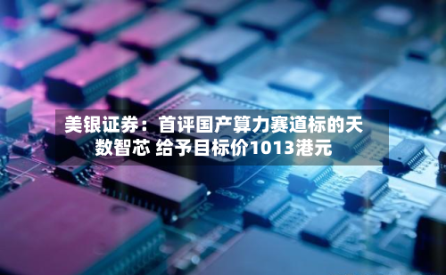 美银证券：首评国产算力赛道标的天数智芯 给予目标价1013港元-第3张图片