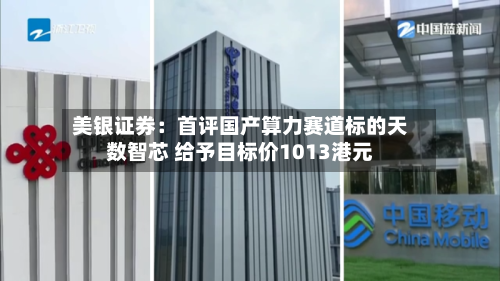 美银证券：首评国产算力赛道标的天数智芯 给予目标价1013港元-第2张图片