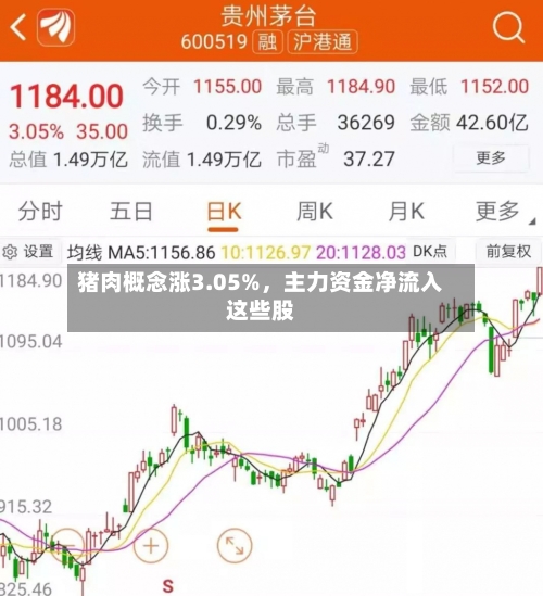 猪肉概念涨3.05%	，主力资金净流入这些股-第2张图片