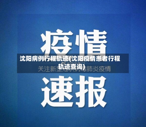 沈阳病例行程轨迹(沈阳疫情患者行程轨迹查询)