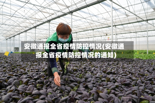 安徽通报全省疫情防控情况(安徽通报全省疫情防控情况的通知)-第2张图片