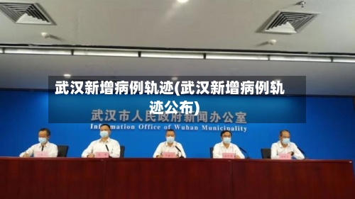 武汉新增病例轨迹(武汉新增病例轨迹公布)-第2张图片