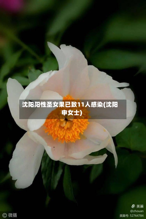 沈阳阳性圣女果已致11人感染(沈阳申女士)