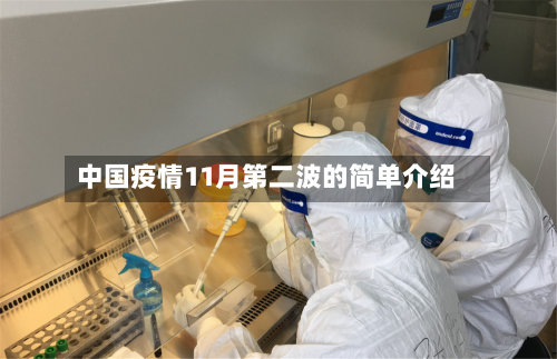 中国疫情11月第二波的简单介绍