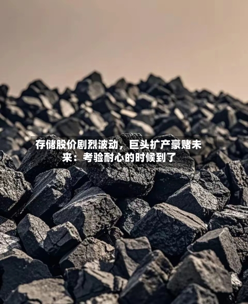 存储股价剧烈波动，巨头扩产豪赌未来：考验耐心的时候到了-第2张图片
