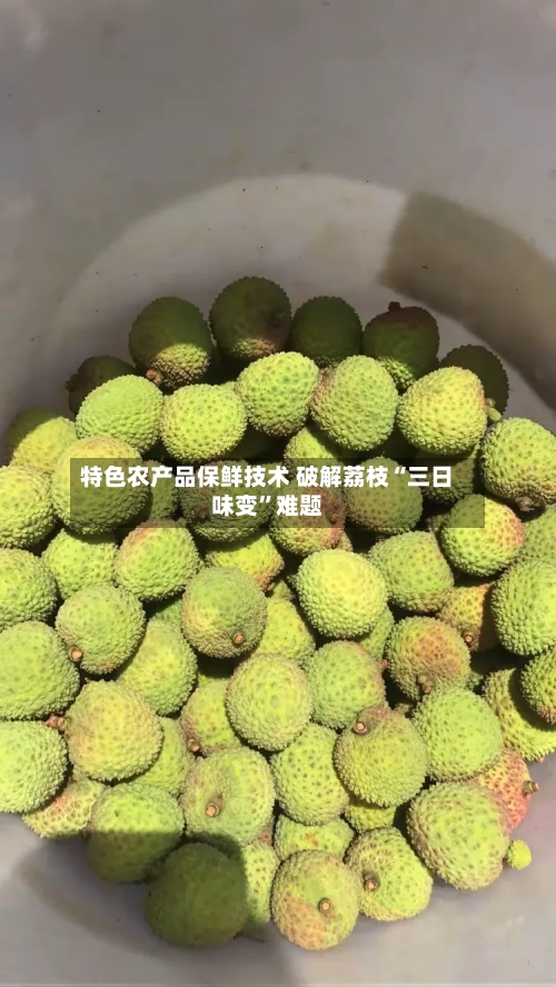 特色农产品保鲜技术 破解荔枝“三日味变	”难题-第3张图片