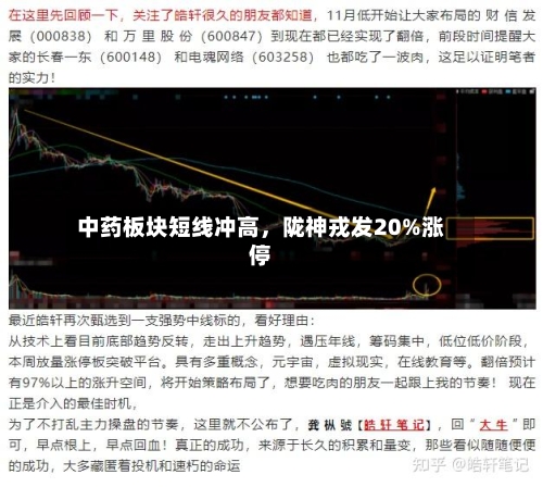 中药板块短线冲高	，陇神戎发20%涨停-第2张图片