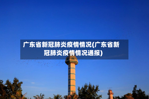 广东省新冠肺炎疫情情况(广东省新冠肺炎疫情情况通报)