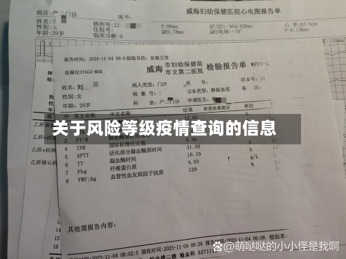 关于风险等级疫情查询的信息