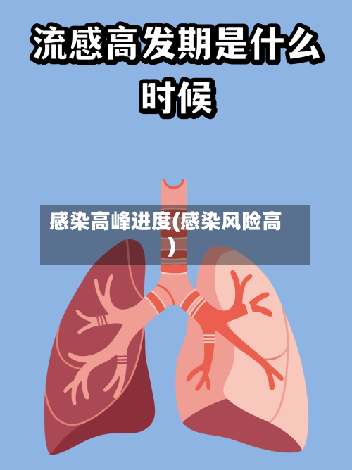 感染高峰进度(感染风险高)