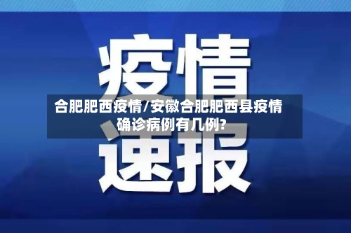 合肥肥西疫情/安徽合肥肥西县疫情确诊病例有几例?-第3张图片