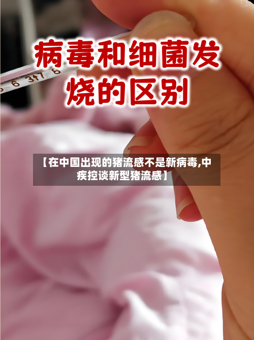 【在中国出现的猪流感不是新病毒,中疾控谈新型猪流感】-第3张图片