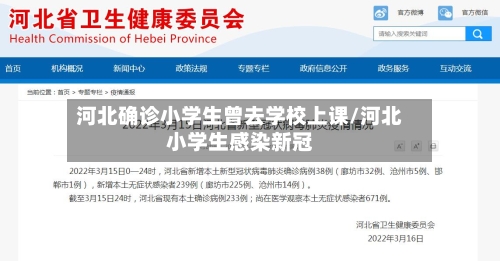 河北确诊小学生曾去学校上课/河北小学生感染新冠-第3张图片