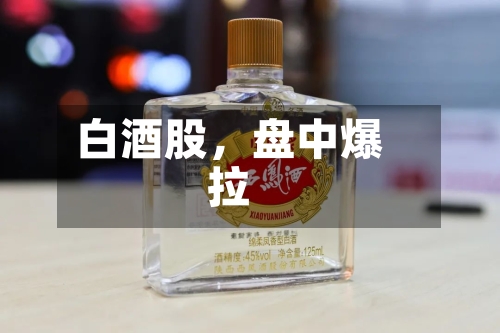 白酒股，盘中爆拉